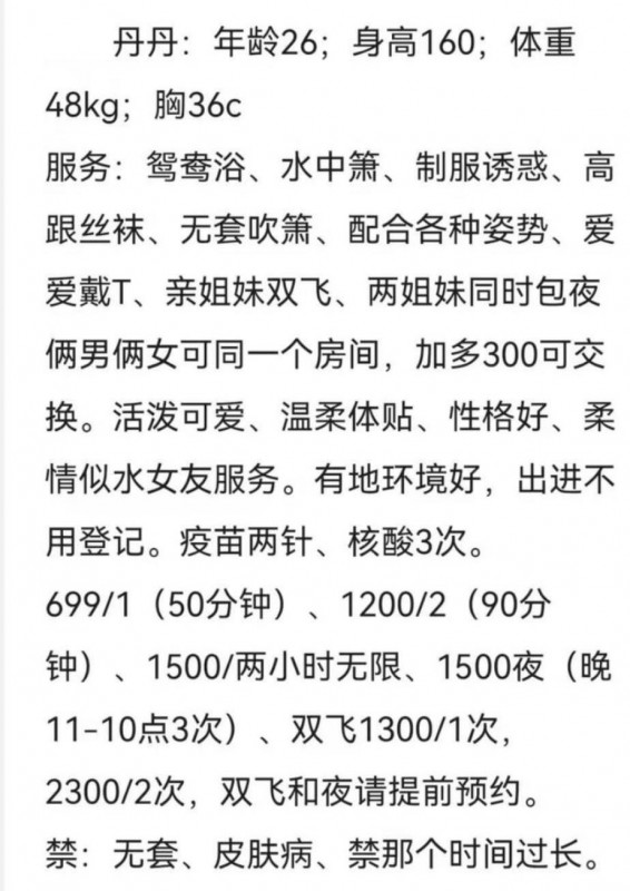 小女仆猫耳朵丹丹